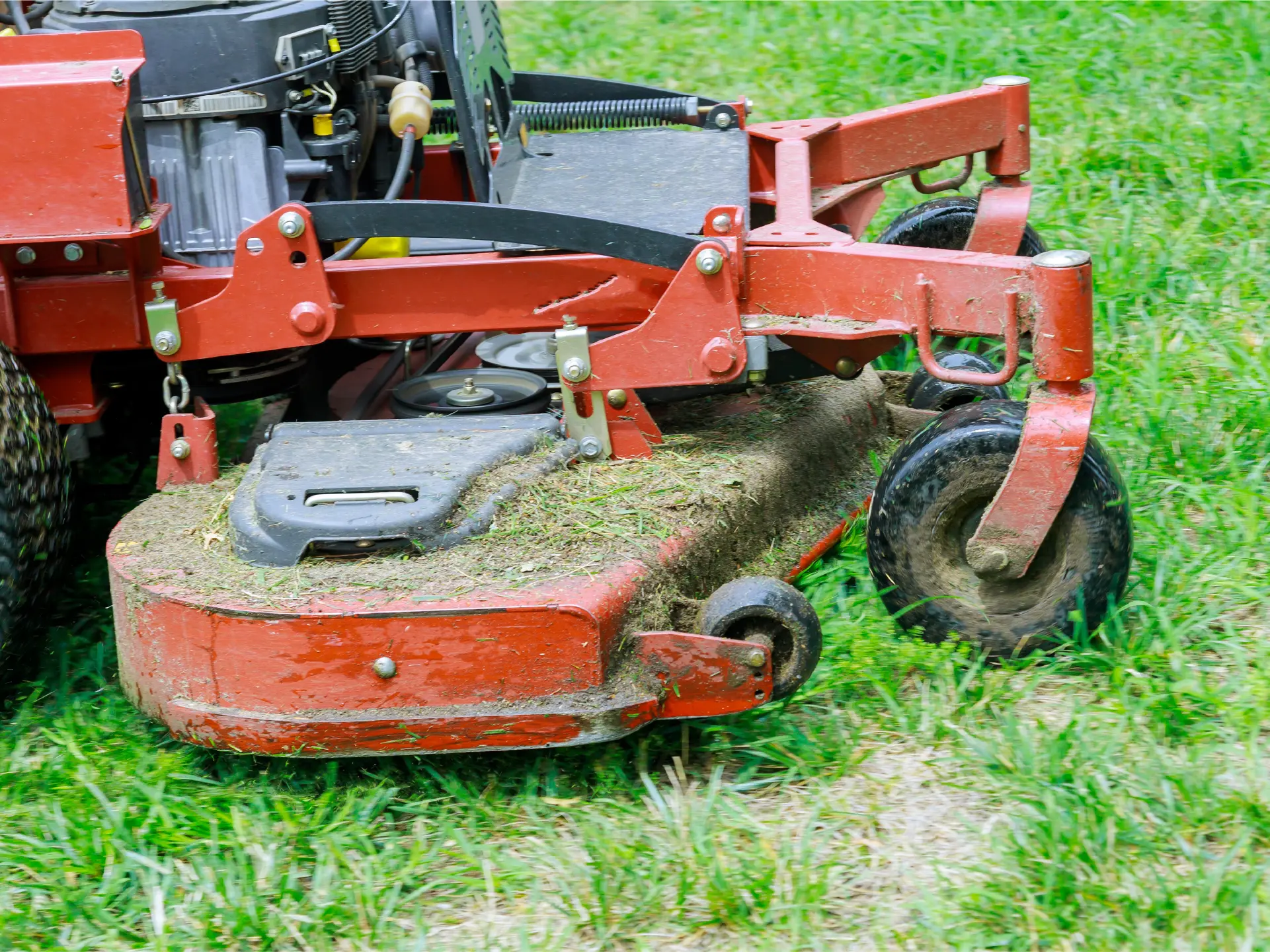 Lawn &amp; Garden